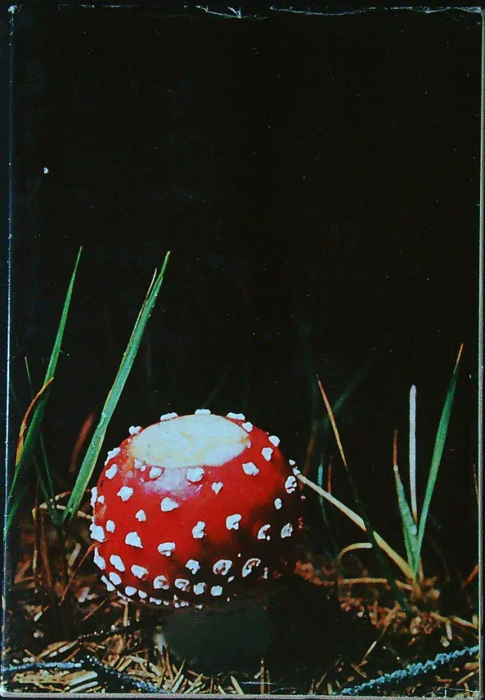 Potulky prírodou II.