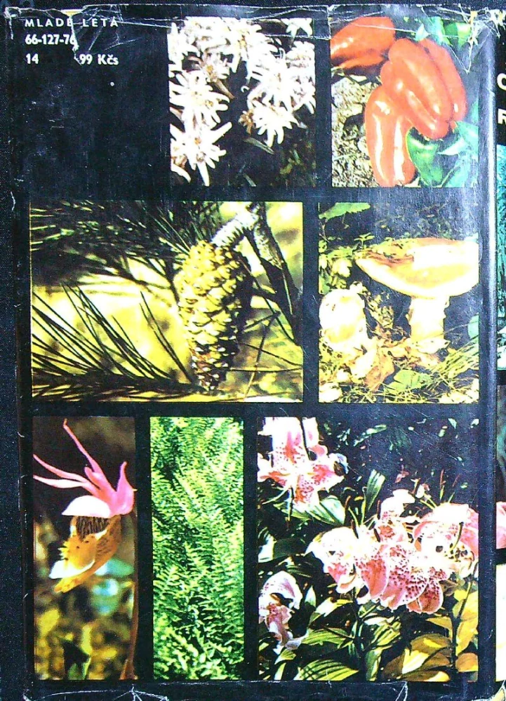 Veľký obrazový atlas rastlín