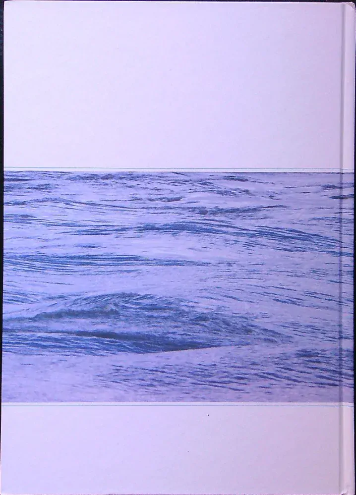 Povodeň na Dunaji 2013