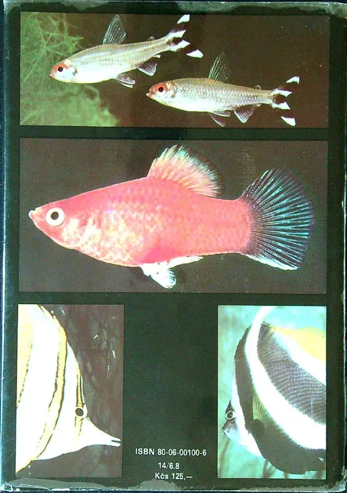 Veľký obrazový atlas rýb