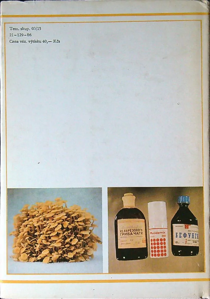 Léčivé houby dříve a nyní