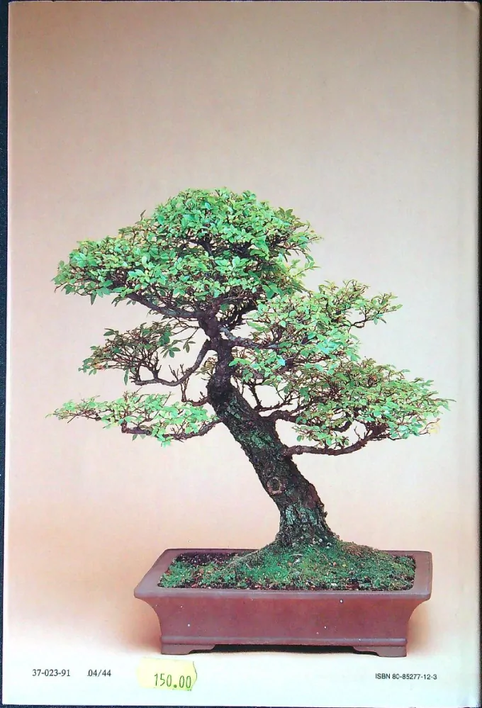 Bonsai