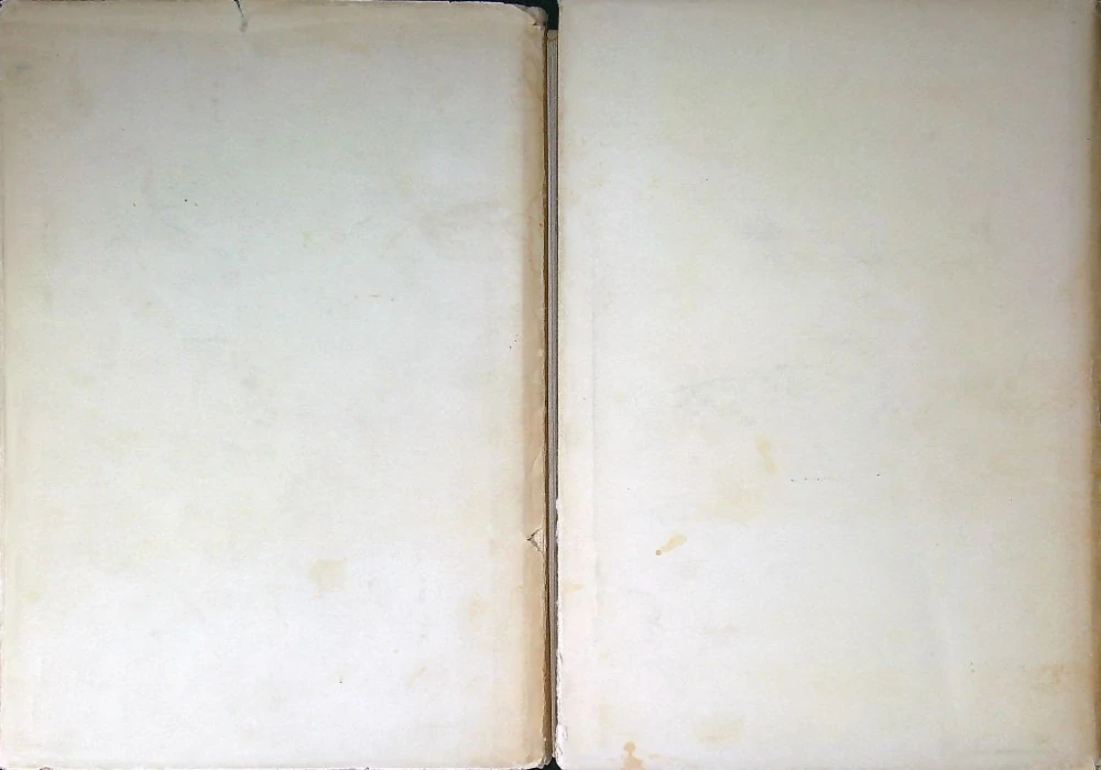 Zvonár u Matky Božej I., II.