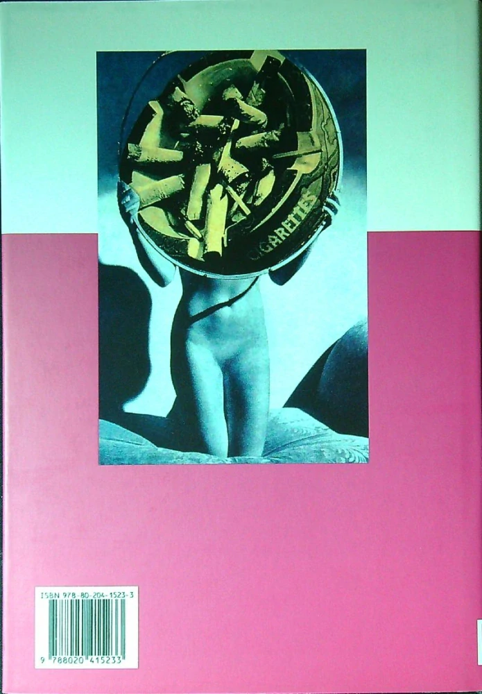 Mezi obrazem a textem