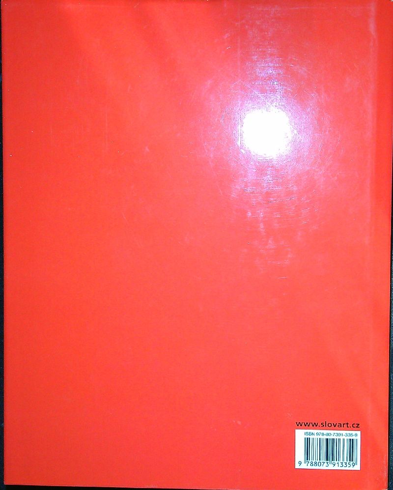 20. století