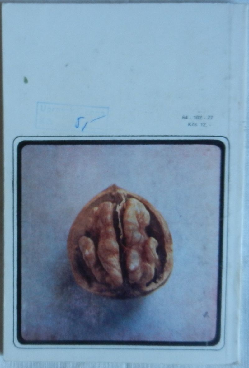 Orech pestovanie a použitie