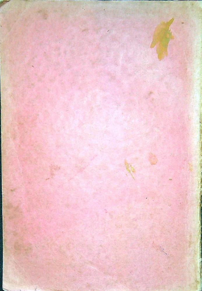 O Bottovej "Smrti Jánošíkovej"