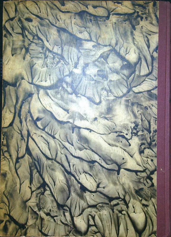 Dobrá rada nad zlato