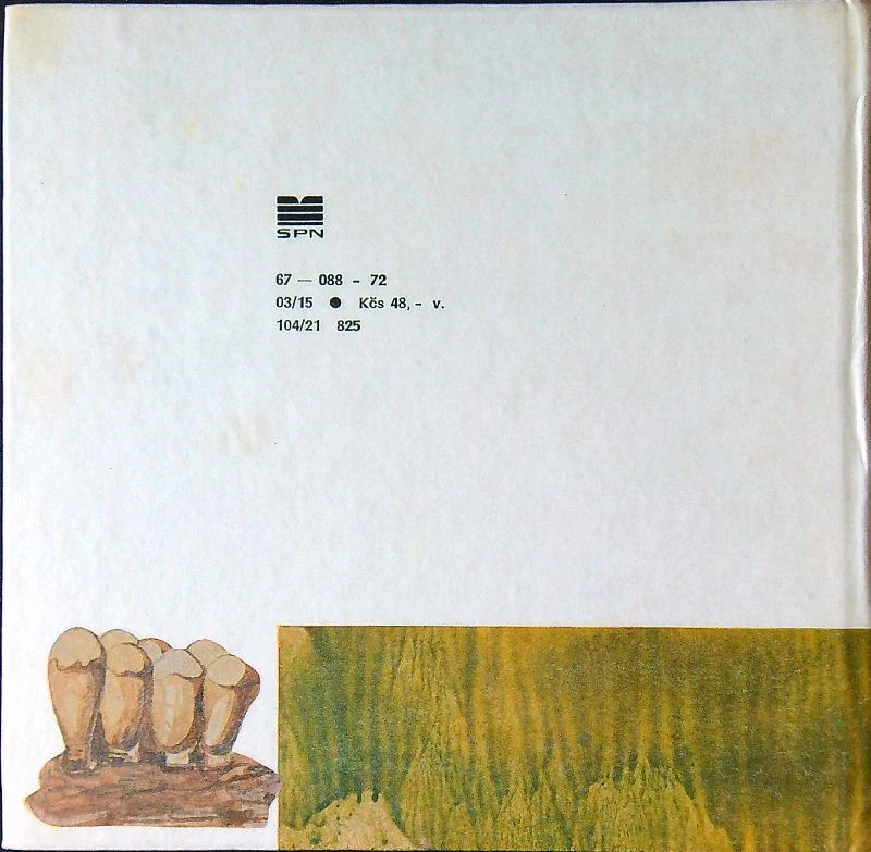 Kľúč na určovanie výtrusných rastlín II.