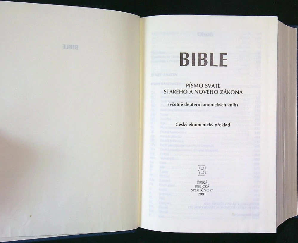 Bible 2001