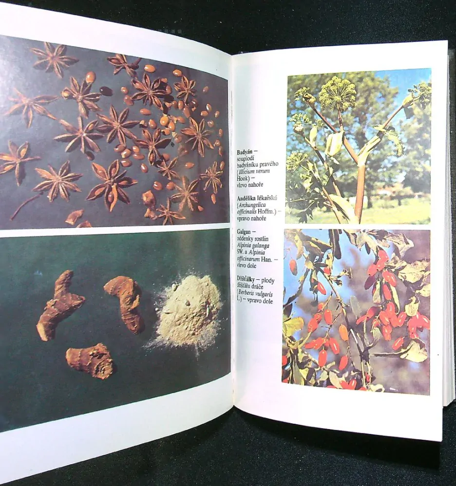 Koření pro každé vaření