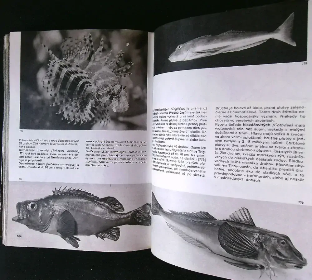 Veľký obrazový atlas rýb