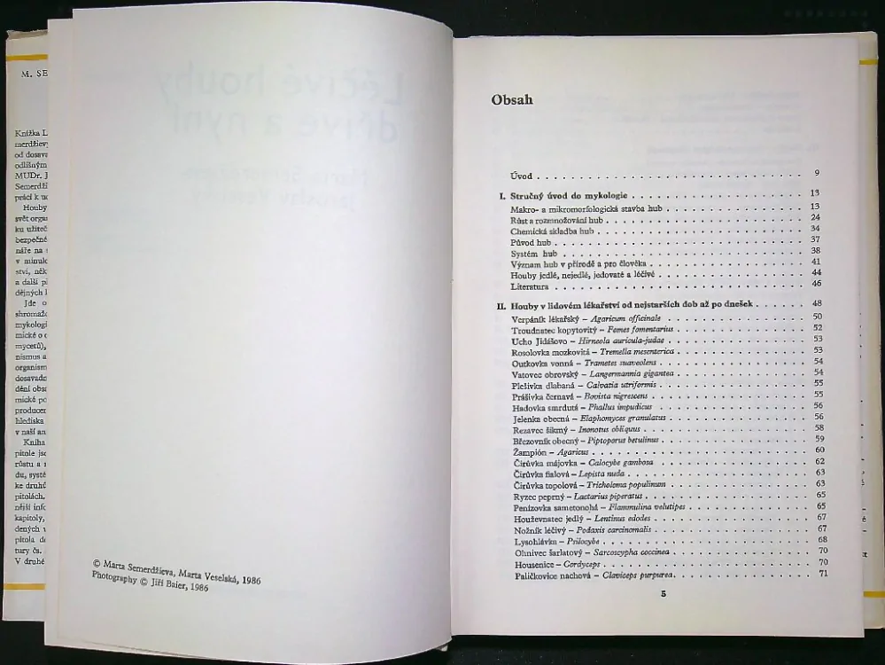 Léčivé houby dříve a nyní