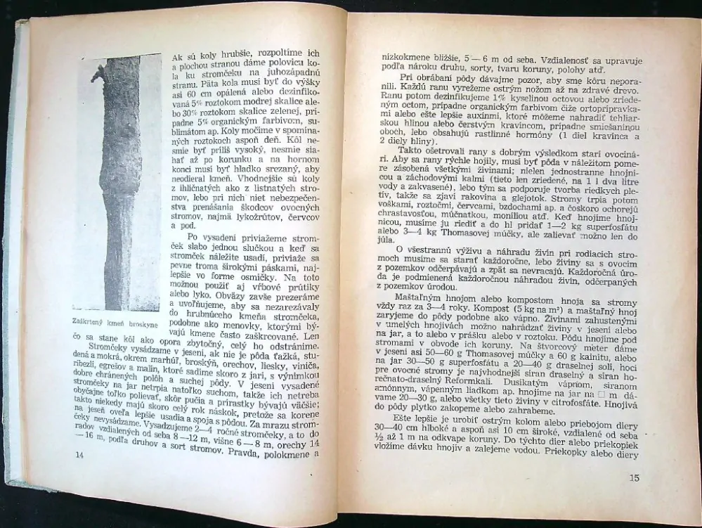 Choroby a škodcovia ovocných plodín