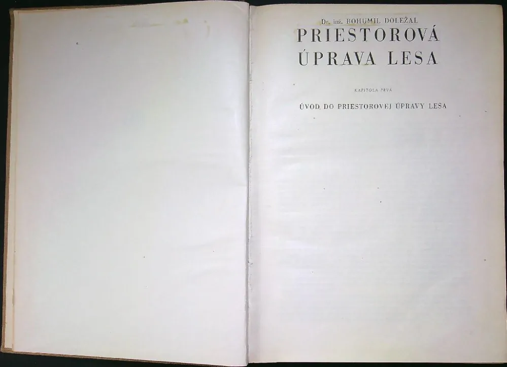 Priestorová úprava lesa