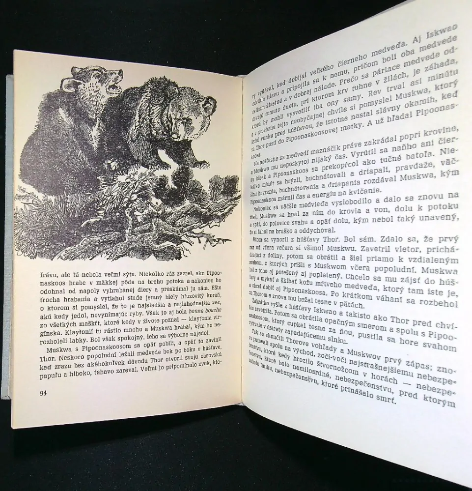 Kráľ sivých medveďov 1970