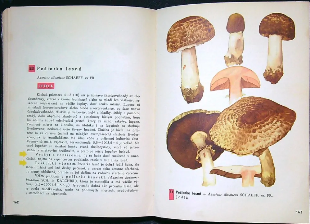 Vreckový atlas húb