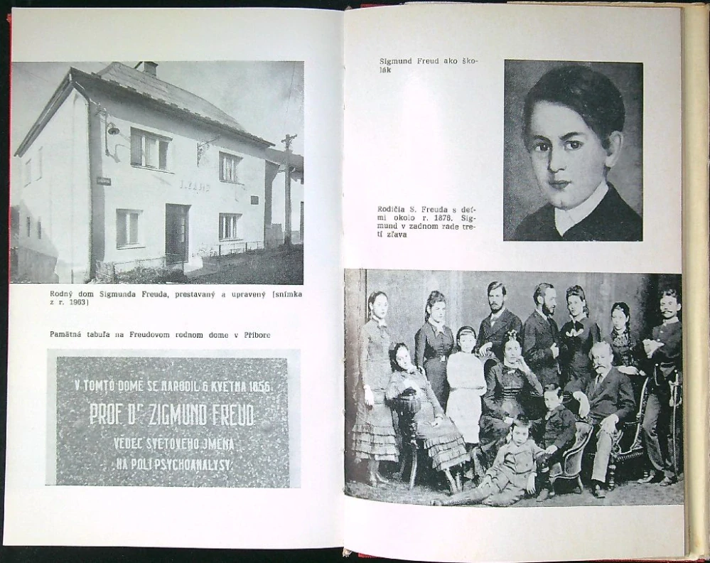 Psychoanalytická revolúcia