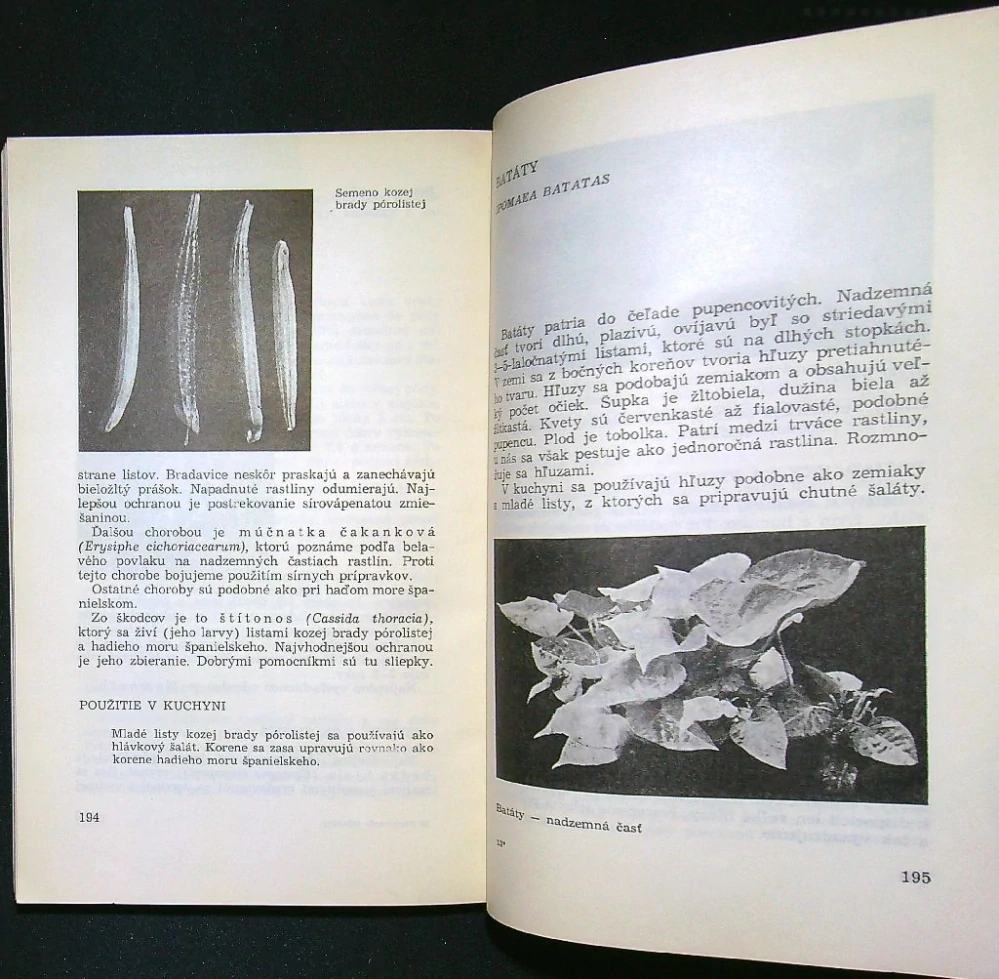 Pestovanie a príprava málo známej zeleniny