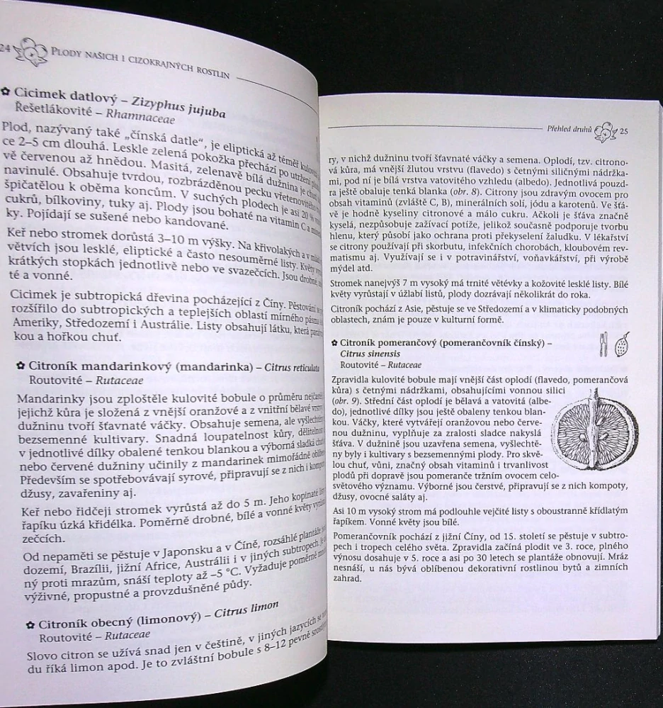 Plody našich i cizokrajných rostlin