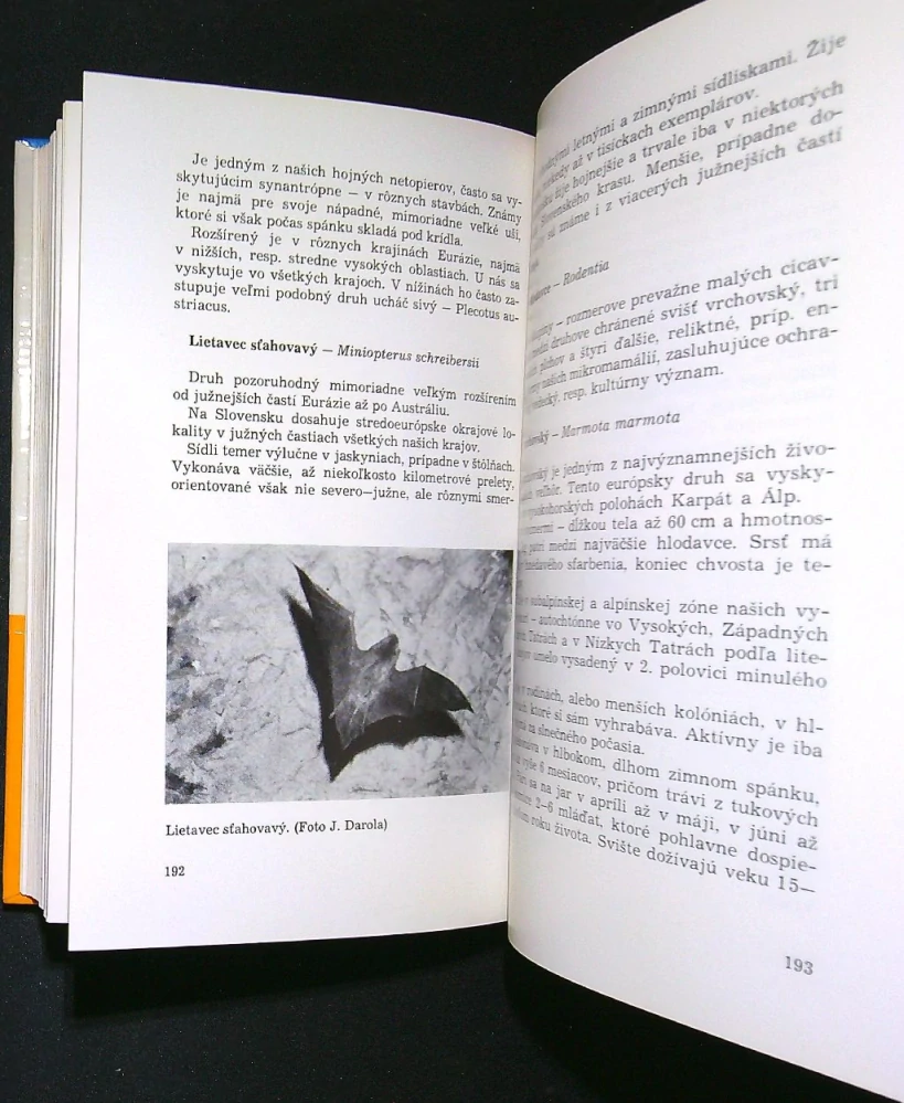 Ochrana živočíchov v Stredoslovenskom kraji