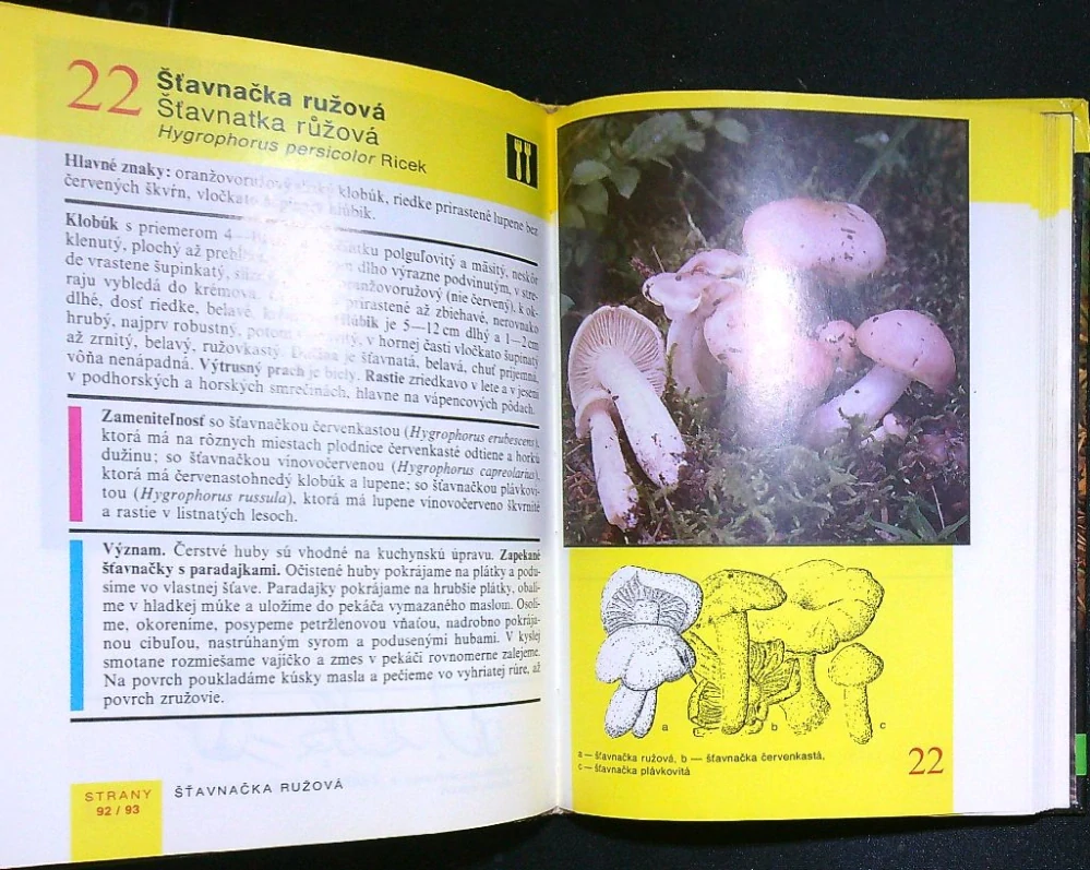 Vreckový atlas húb 1993