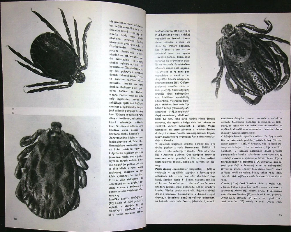 Veľký obrazový atlas hmyzu