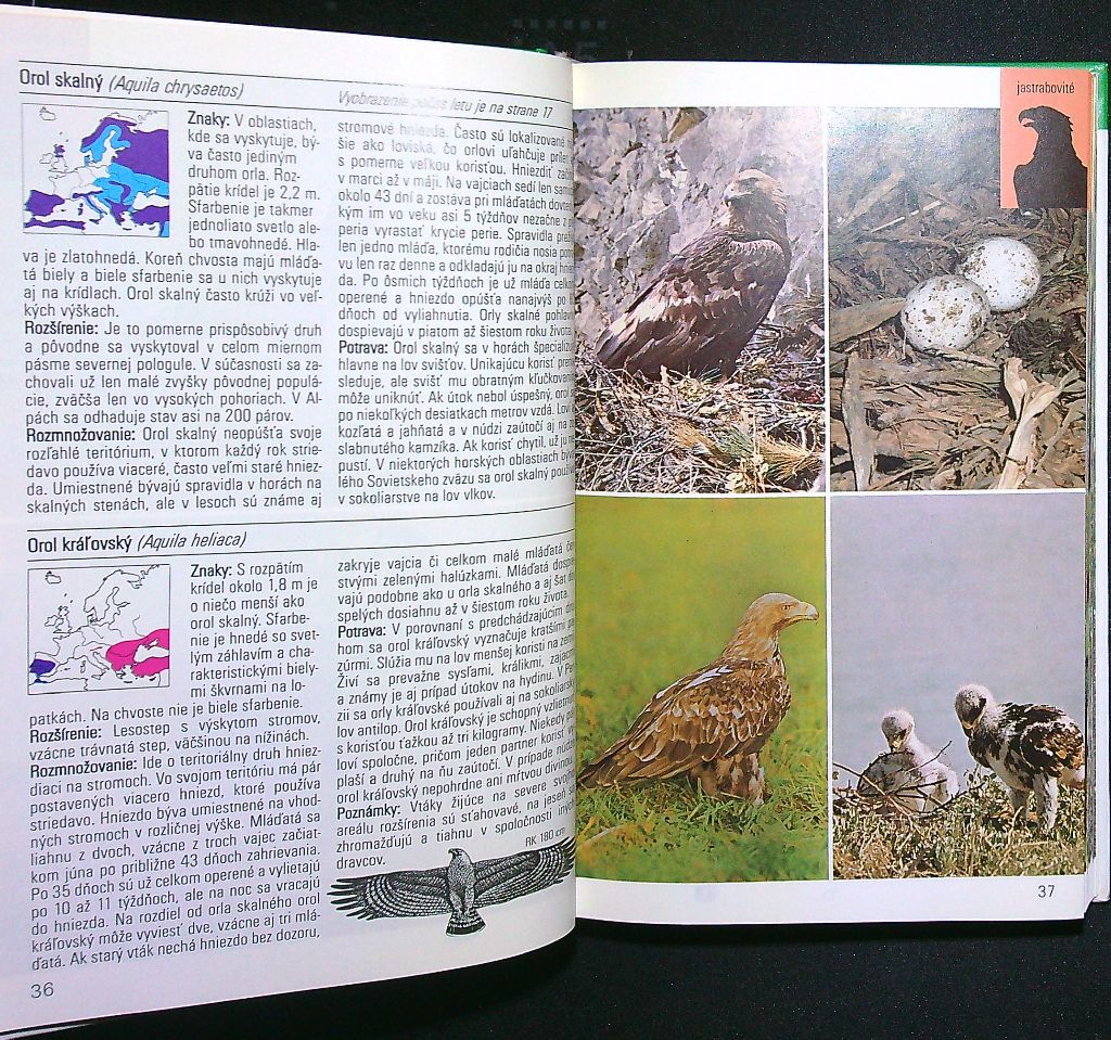 Vtáky lesov, lúk a polí