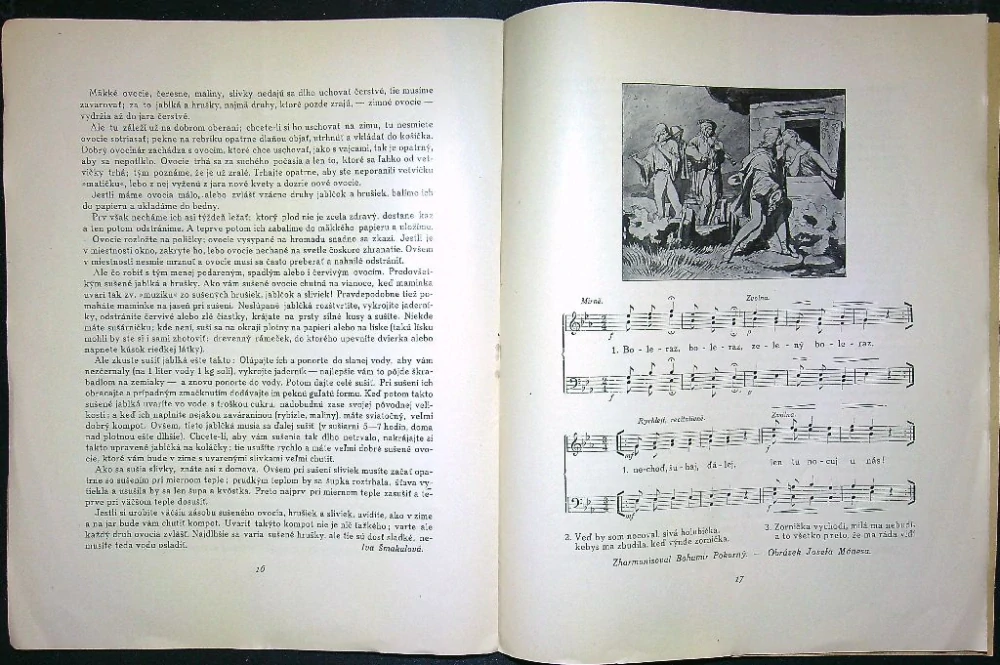 Lípa - listopad 1925