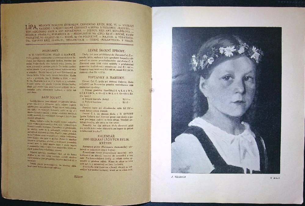 Lípa - květen 1926
