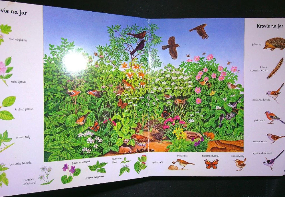 Moja pestrá knižka o zvieratkách