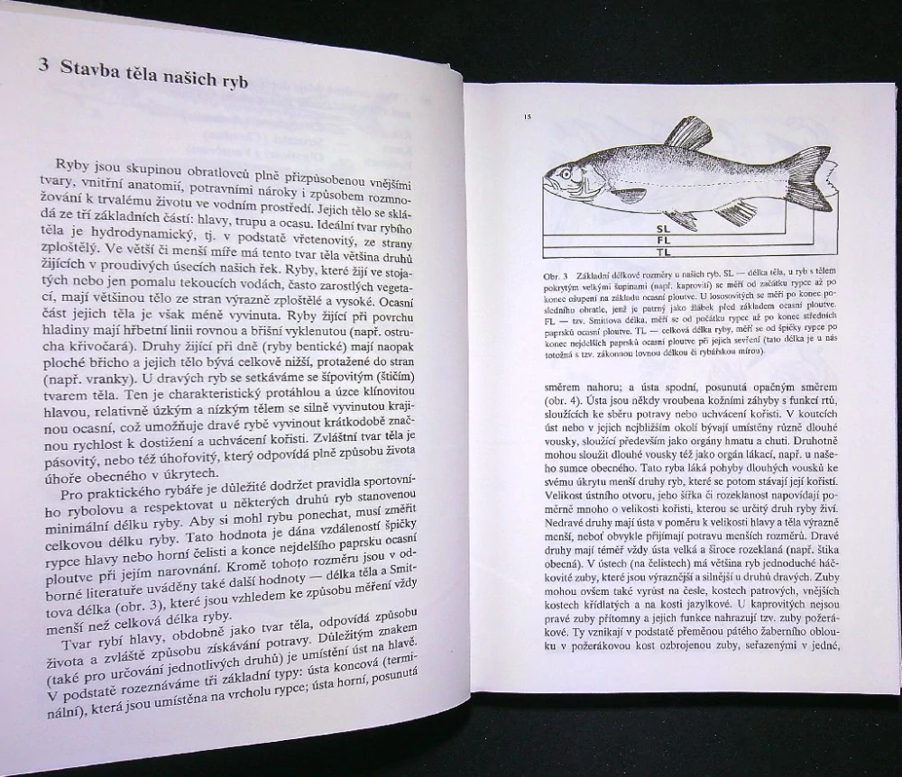 Ryby v našich vodách 1992