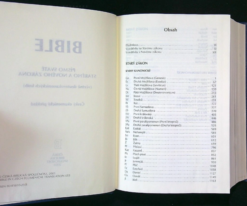 Bible 2001