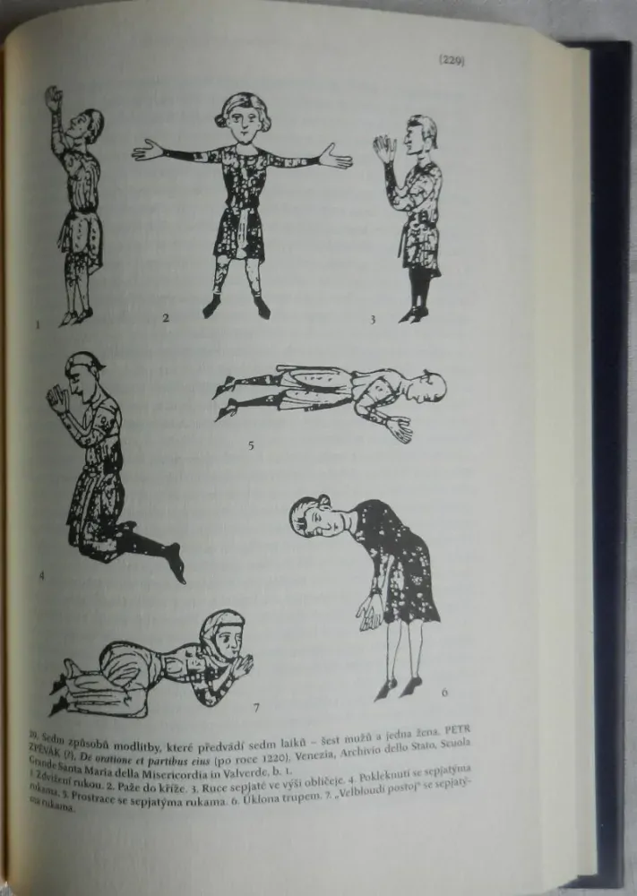 Svět stredověkých gest