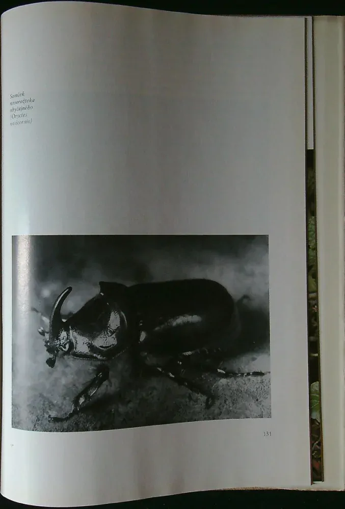 Potulky prírodou III.