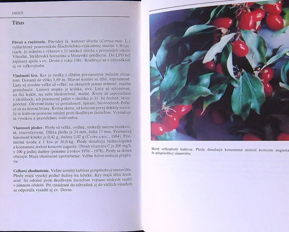 Pomológia drobného ovocia a menej známych ovocnín