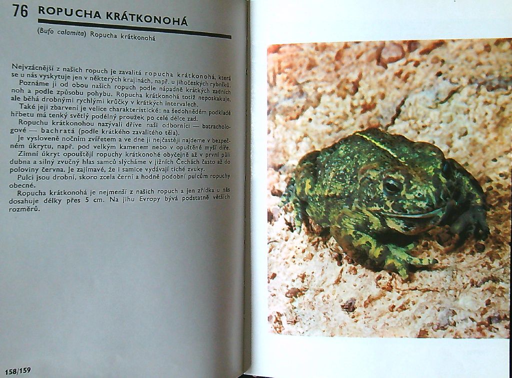 Kapesní atlas ryb, obojživelníků a plazů