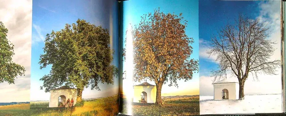 Čarovné Piešťany a okolie