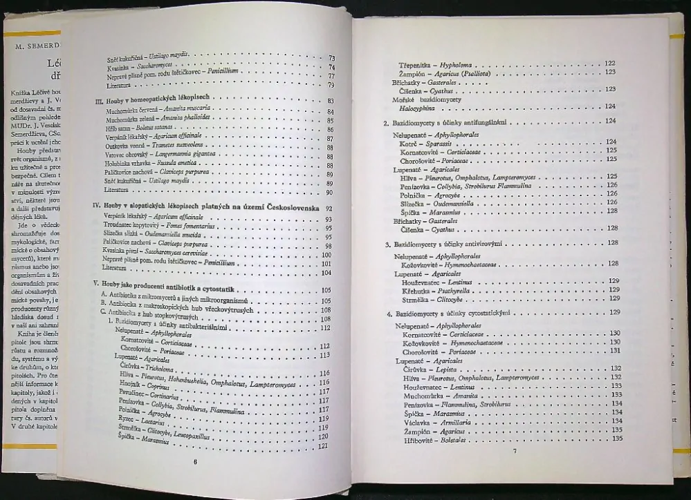 Léčivé houby dříve a nyní