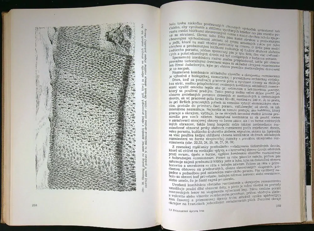 Priestorová úprava lesa