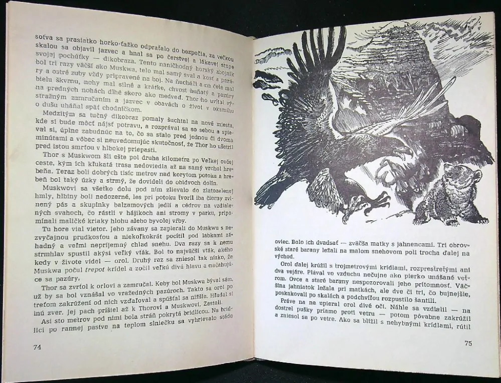 Kráľ sivých medveďov 1970