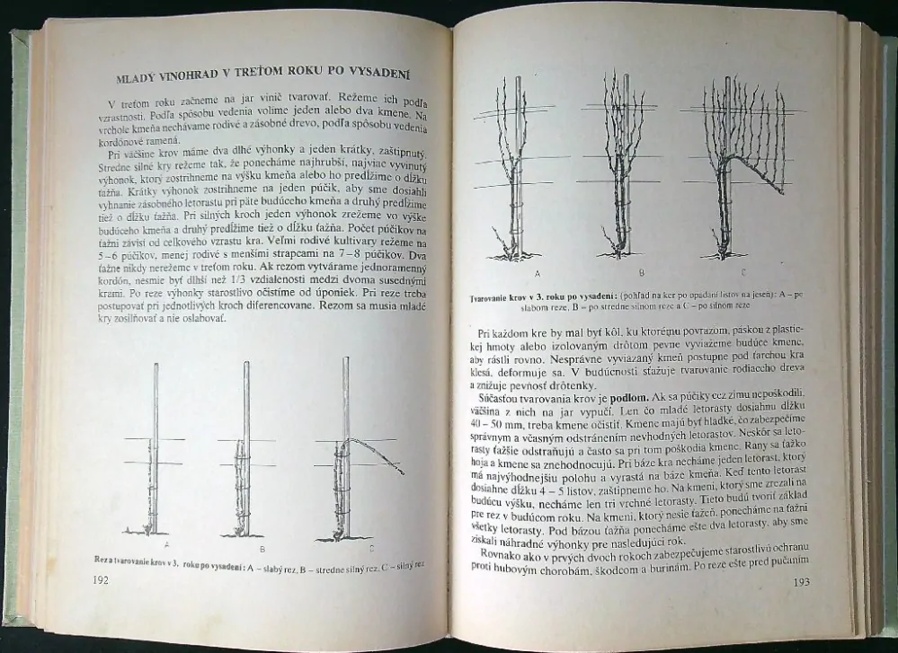 Vinohradníctvo 1978