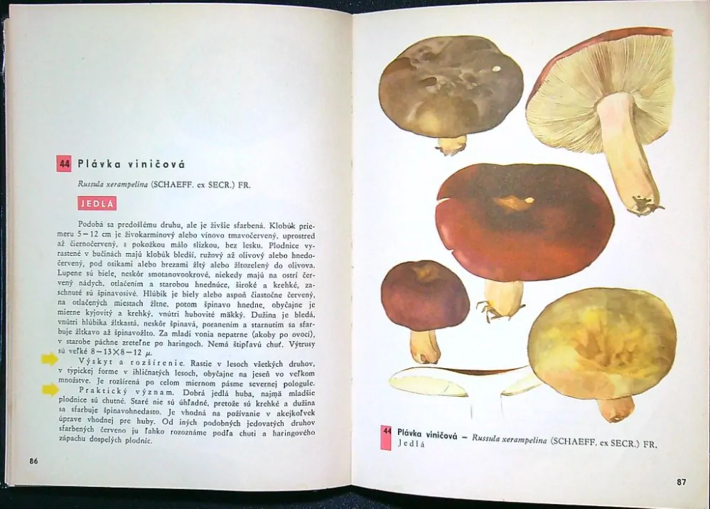 Vreckový atlas húb