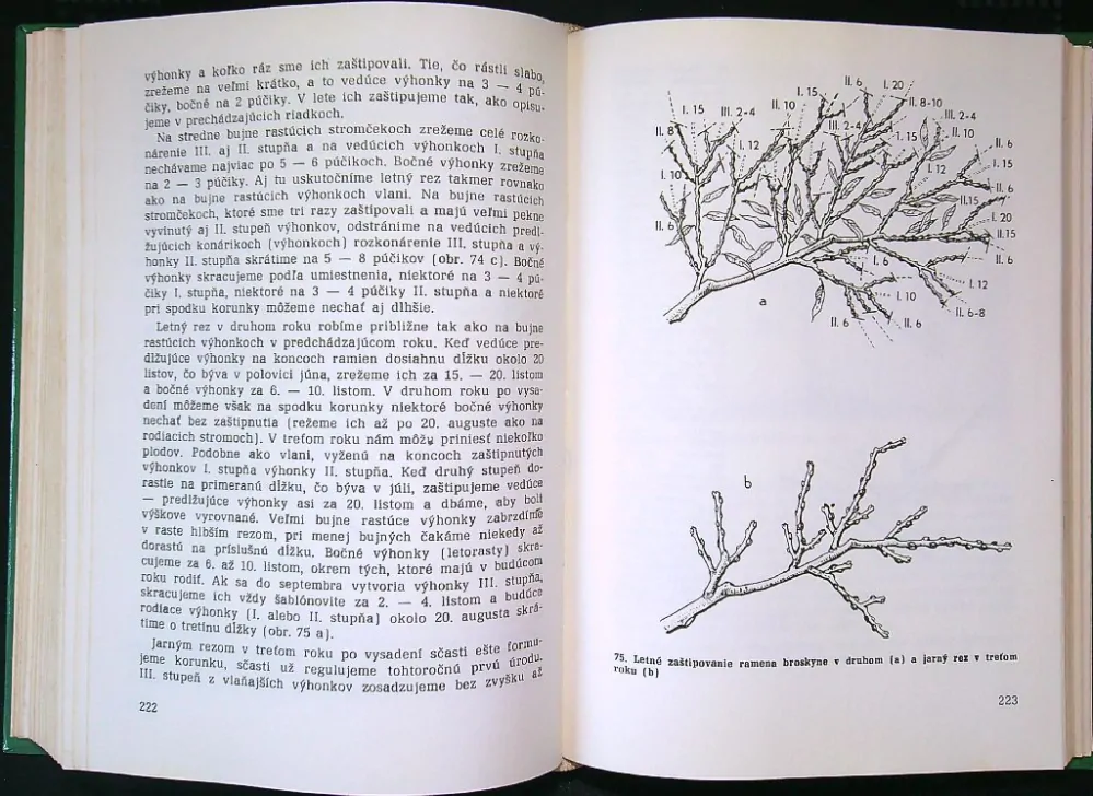 Radíme záhradkárom 1988