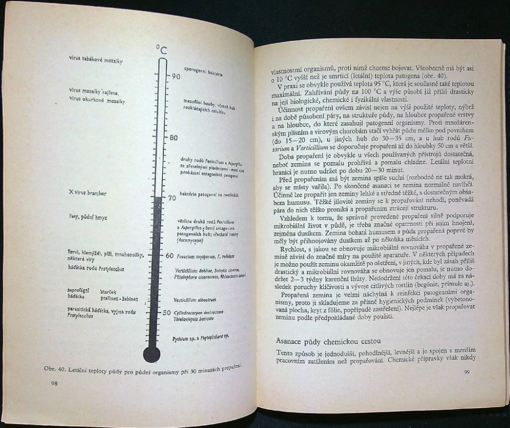 Choroby a škůdci okrasných rastlin
