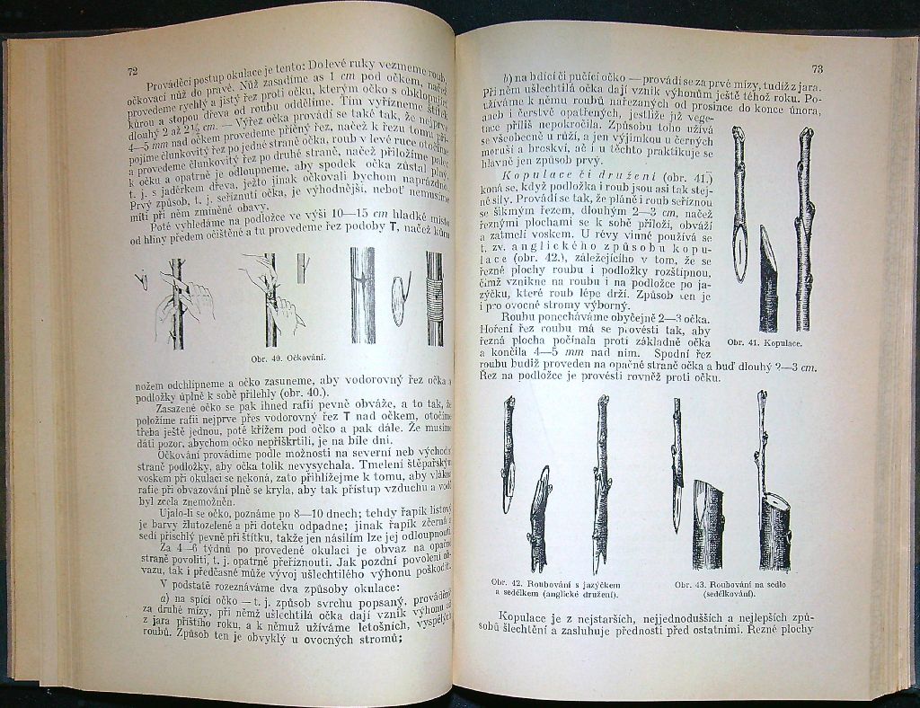 Pěstování a ošetřování našich ovocných stromů a keřů
