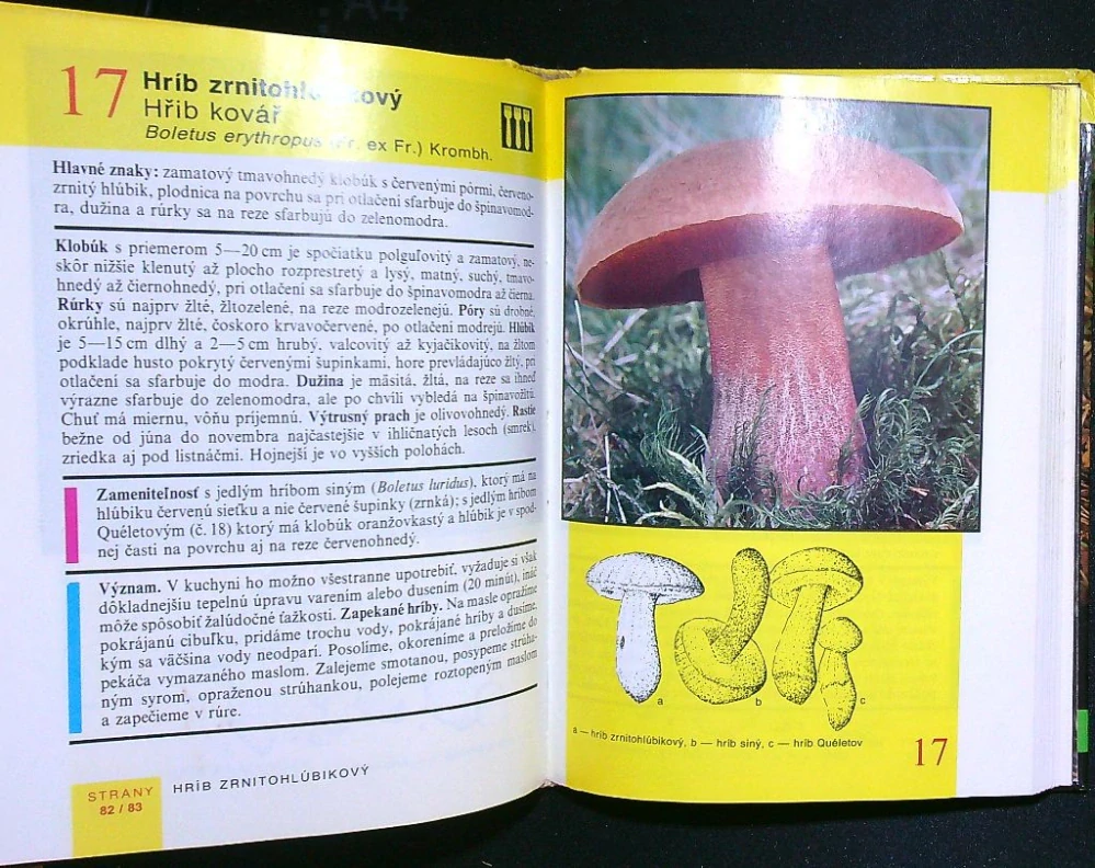 Vreckový atlas húb 1993