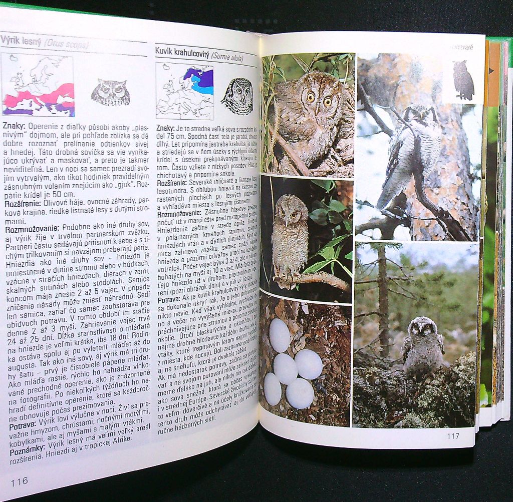 Vtáky lesov, lúk a polí