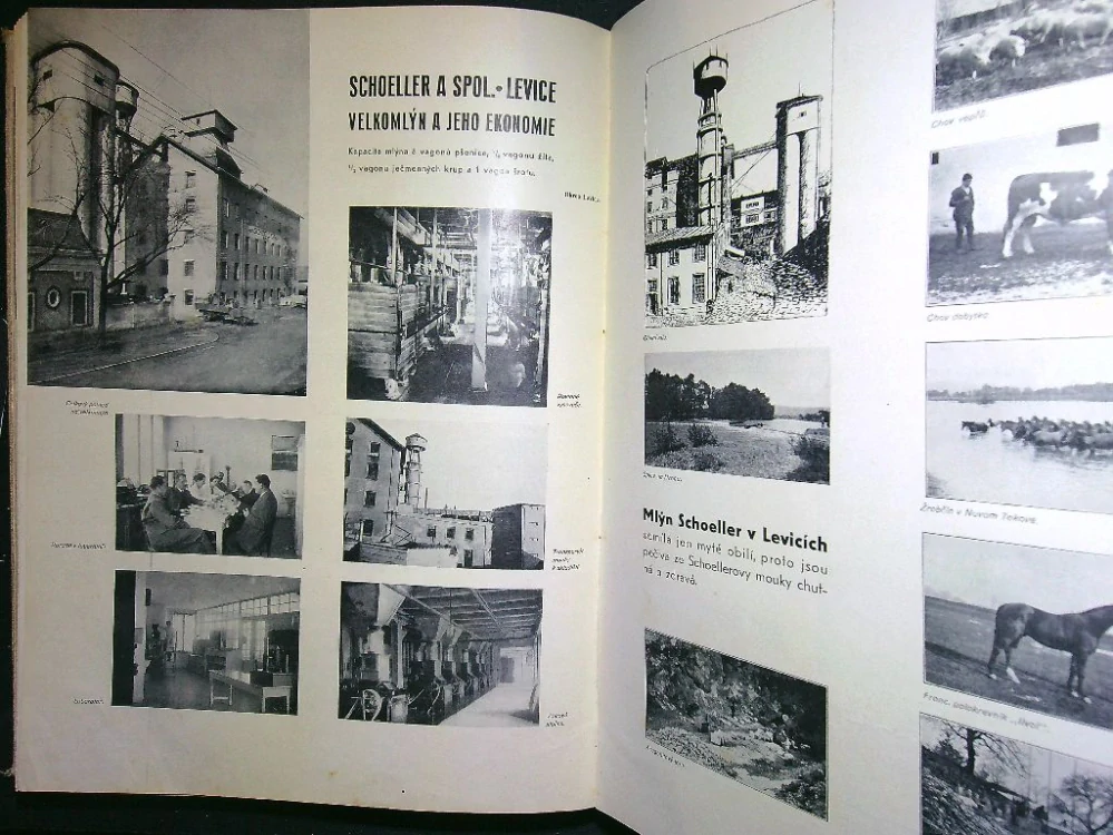 Československé mlynářství 1936