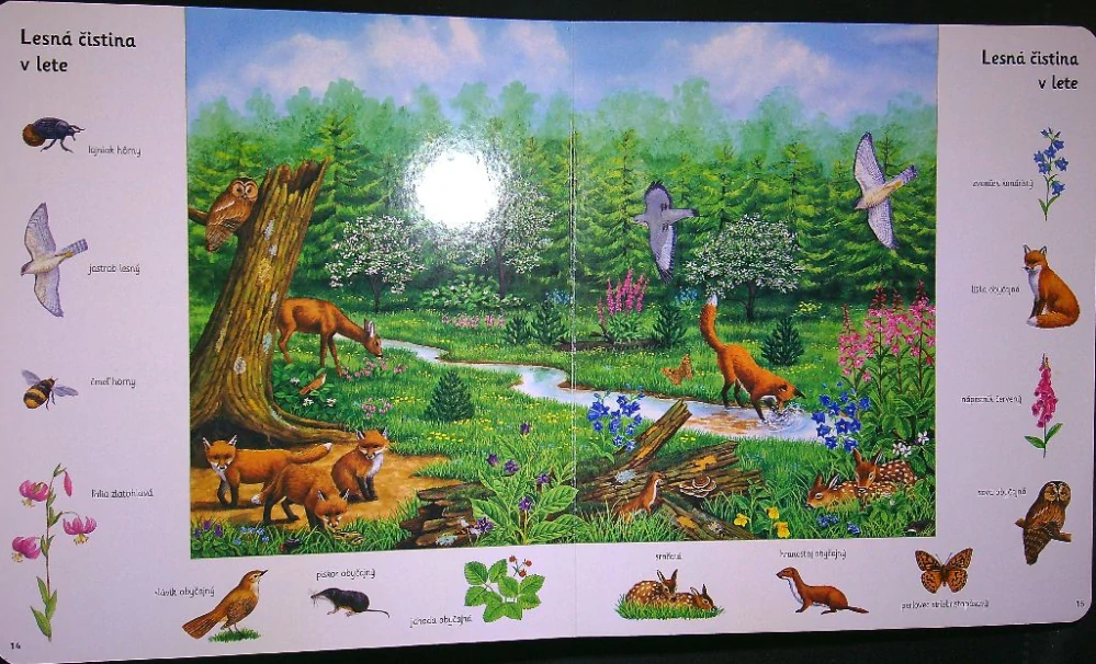 Moja pestrá knižka o zvieratkách